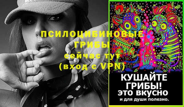 дурь Кулебаки