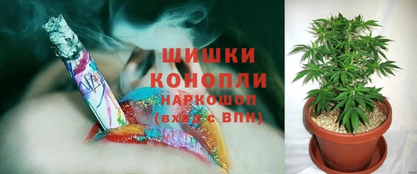 сатива Ладушкин